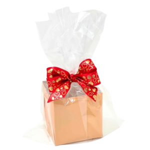 SACO TRANSPARENTE INCOLOR 35X53 C/50 UNIDADES CELOFANE