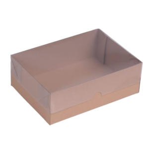 CAIXA DE ACETATO C/T TRANSPARENTE 19,5X13X6 RET KRAFT C/10 UNIDADES