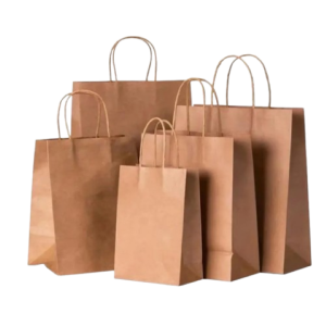 SACOLA PAPEL KRAFT 17,5X8,5X21,5 C/10 UNIDADES